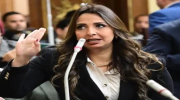 تحرك برلماني جديد.. نشوى الشريف تضع أولويات حماية العمال بمنظومة الصناعة الوطنية